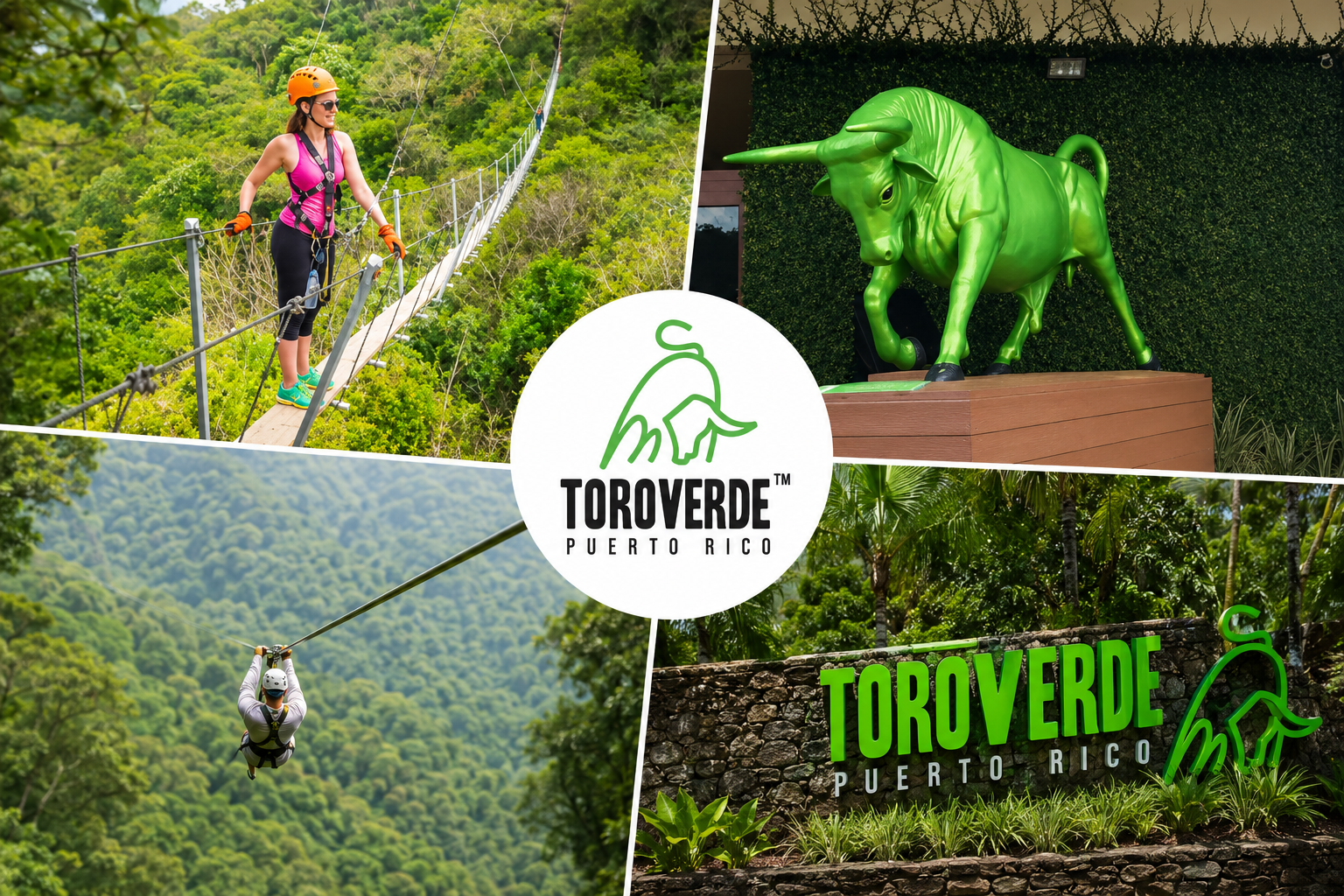 Orocovis Puerto Rico recreation and zip-line eco-tourism at Toro Verde Adventure Park, curated by Real Estate Advisor Cheer Alvarez.